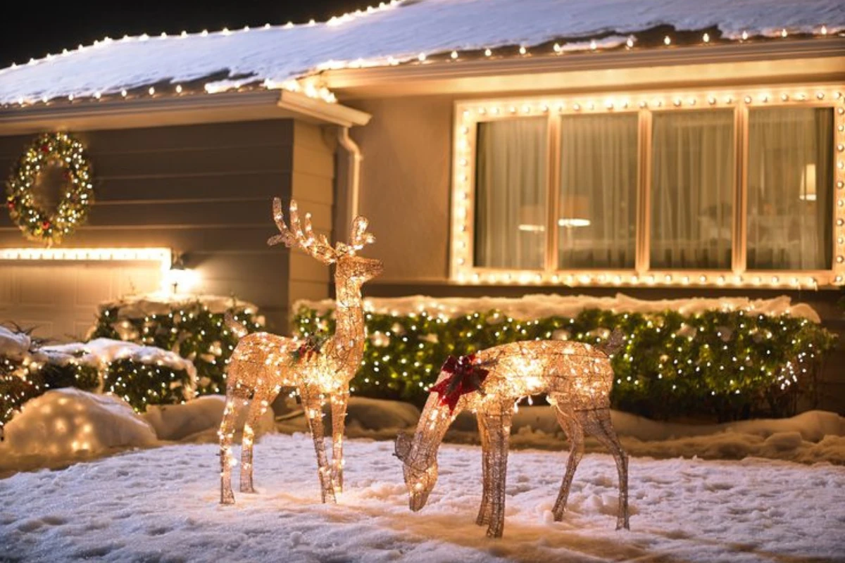 Outdoor Christmas Display Ideas for Stunning Front Yards brightwrx.com-madras