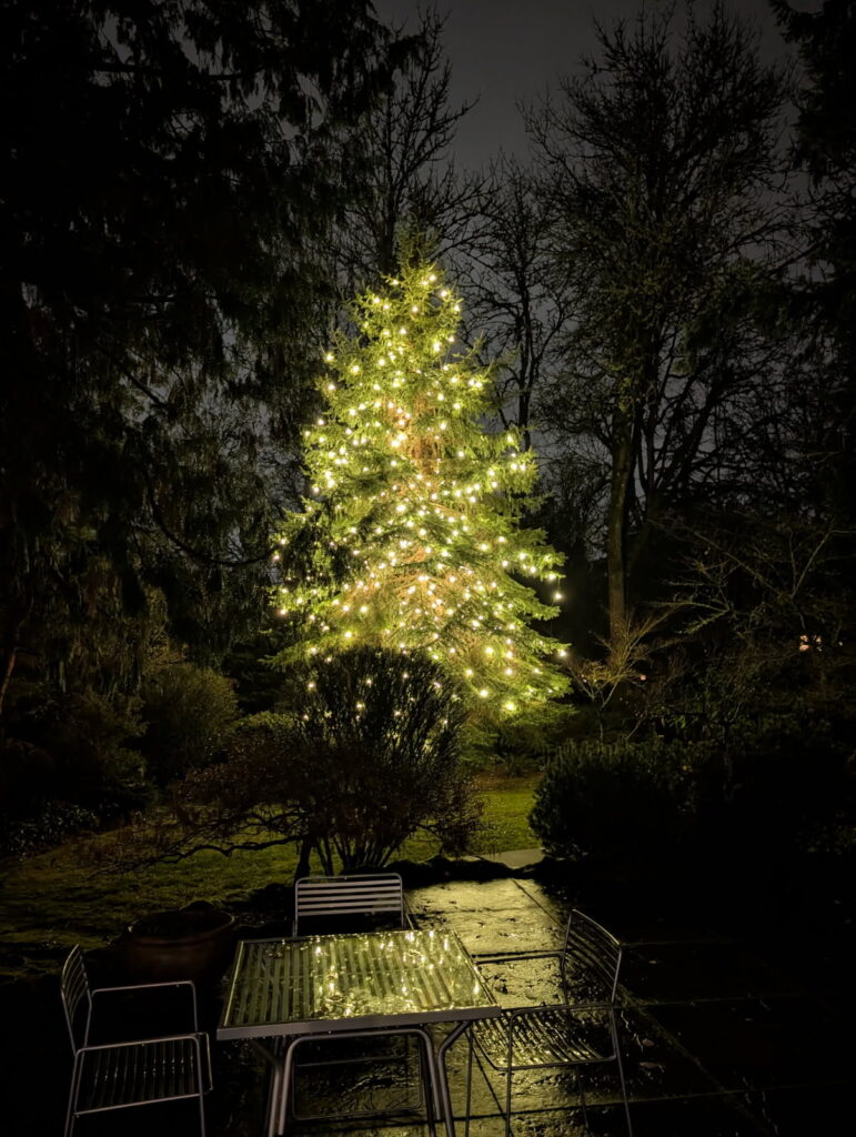 Holiday Lighting Company Bend OR