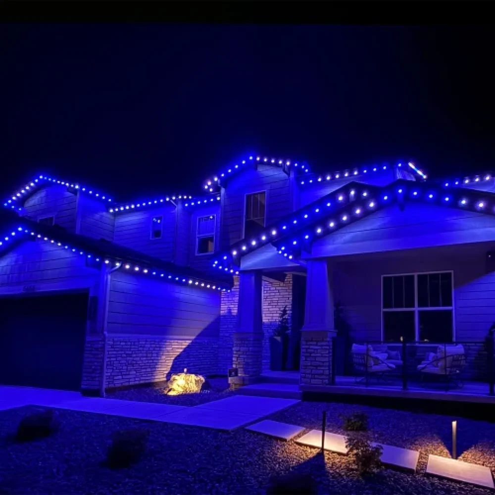 Water Feature Lighting brightwrx.com-south-florida