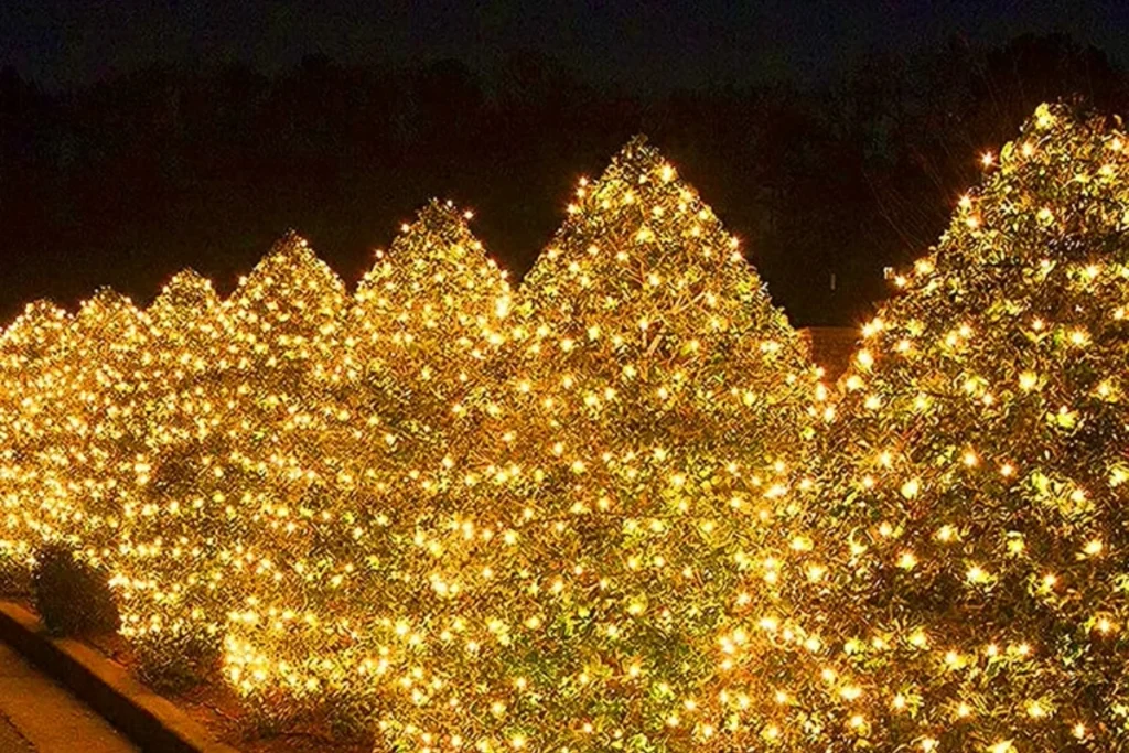 Outdoor LED Christmas Net Lights Installation Tips brightwrx.com-vancouver