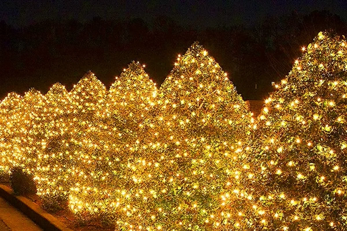 Outdoor LED Christmas Net Lights Installation Tips brightwrx.com-vancouver