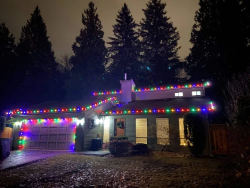 Outdoor and Landscape Lighting Services brightwrx.com-vancouver